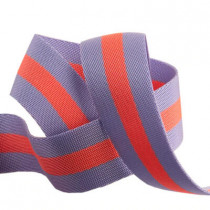 Tula Pink Webbing