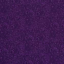 Hopscotch Random Dots Violet